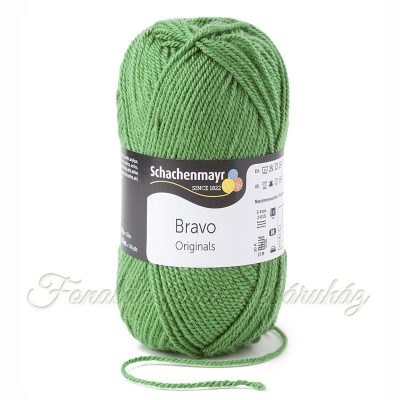 Schachenmayr Bravo Originals fonal - 8191 - Páfrány